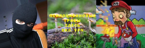 индика Алзамай