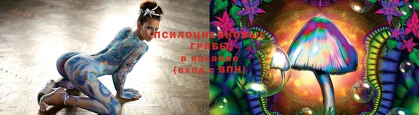 шишки Алексин