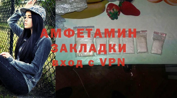 индика Алзамай