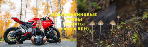 индика Алзамай
