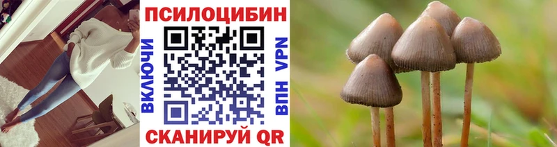 магазин продажи   kraken ССЫЛКА  Галлюциногенные грибы Cubensis  Кимры 